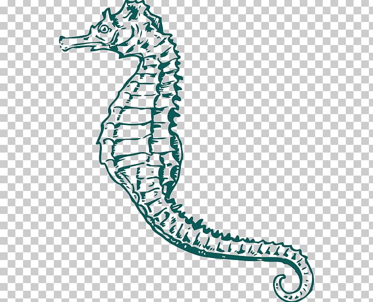 Pacific Seahorse Drawing White's Seahorse PNG, Clipart, Clip Art, Drawing, Horsehair Crab, Pacific Seahorse Free PNG Download