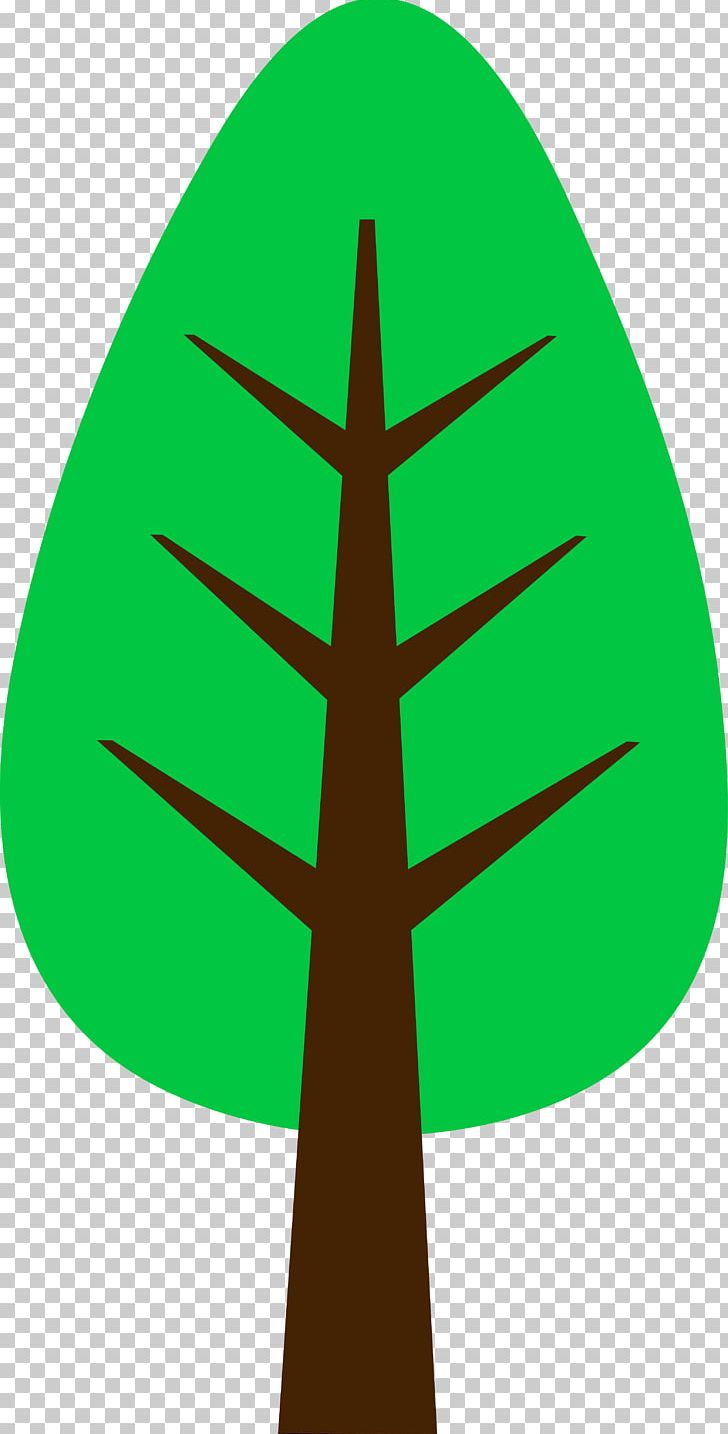 Draw Trees Cartoon Drawing PNG, Clipart, Angle, Animation, Branch, Cartoon, Circle Free PNG Download