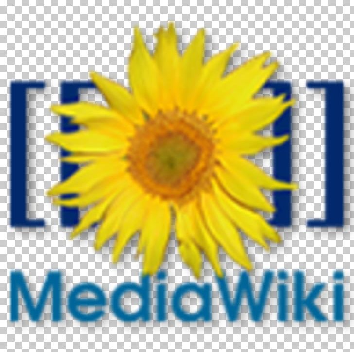 MediaWiki Wiki Software Computer Software Wikimedia Foundation PNG, Clipart, Computer Software, Daisy Family, Flower, Flowering Plant, Free And Opensource Software Free PNG Download