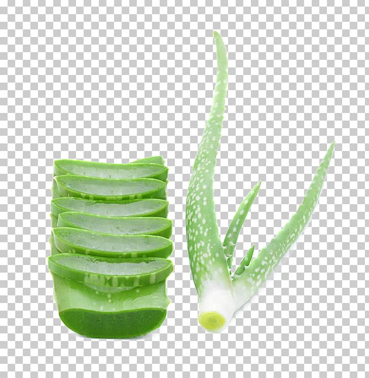 Scar Acne Aloe Pimple PNG, Clipart, Acne, Adult Acne, Aloe, Aloe Plant, Aloe Vera Free PNG Download