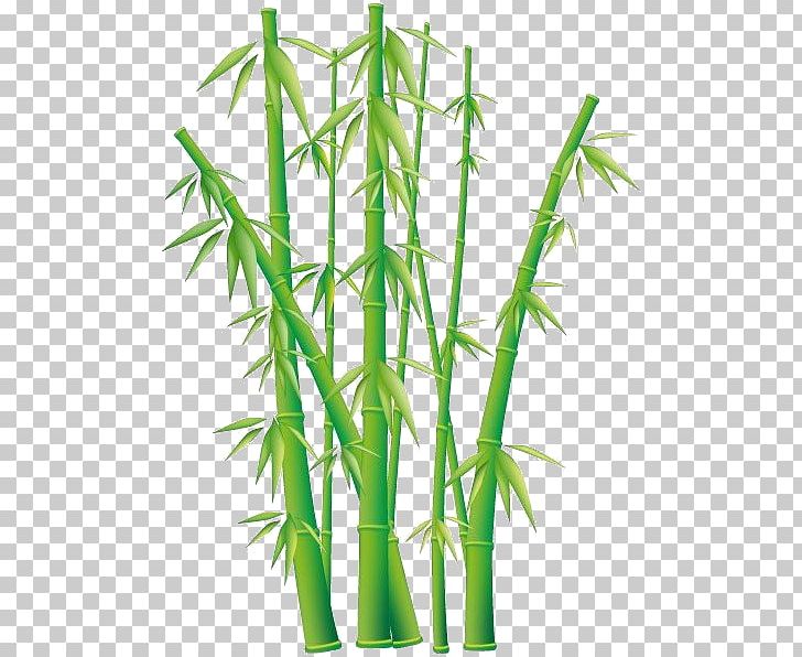 Tropical Woody Bamboos Bamboo Textile PNG, Clipart, Bamboo, Bamboo Textile, Download, Drawing, Encapsulated Postscript Free PNG Download