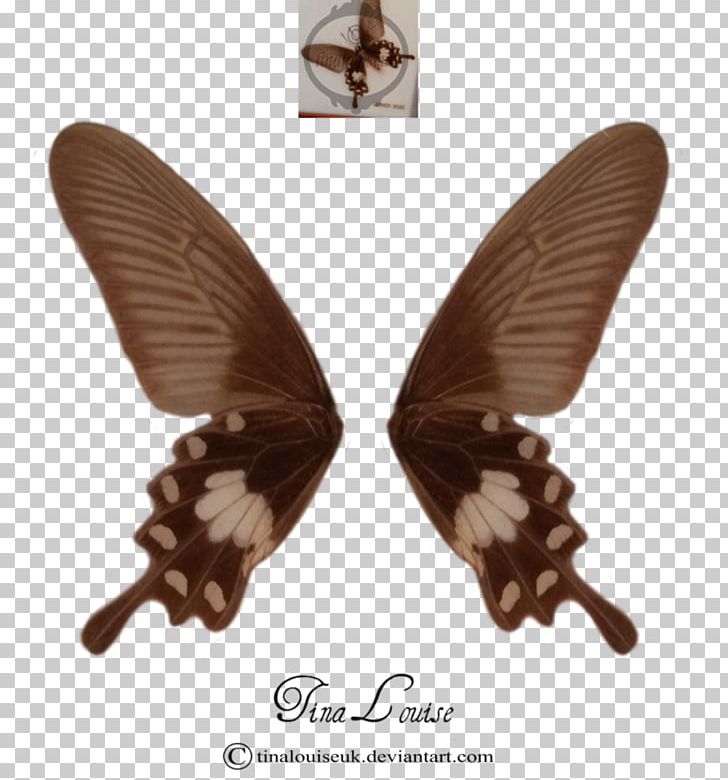 Butterfly Insect Photography Фотобанк PNG, Clipart, Butterflies And Moths, Butterfly, Depositphotos, Harlequin Beetle, Insect Free PNG Download