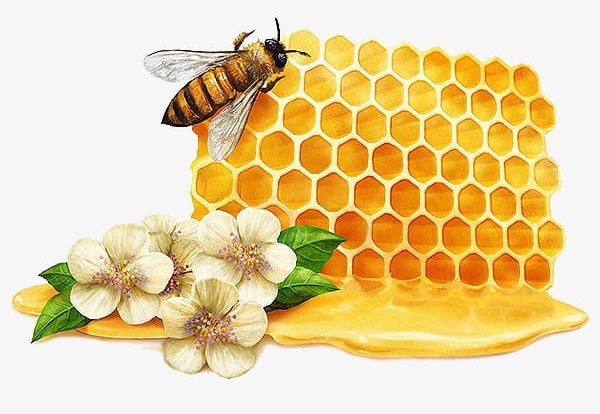Honey Honey Flowers Creative PNG, Clipart, Collecting, Collecting Nectar, Creative Clipart, Flower, Flowers Clipart Free PNG Download