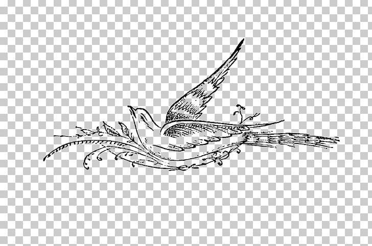 Line Art Sketch PNG, Clipart, Arm, Art, Artwork, Automotive Design, Bird Pattern Free PNG Download