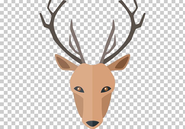 White-tailed Deer Deer Hunting PNG, Clipart, Animal, Animals, Antler, Biggame Hunting, Computer Icons Free PNG Download