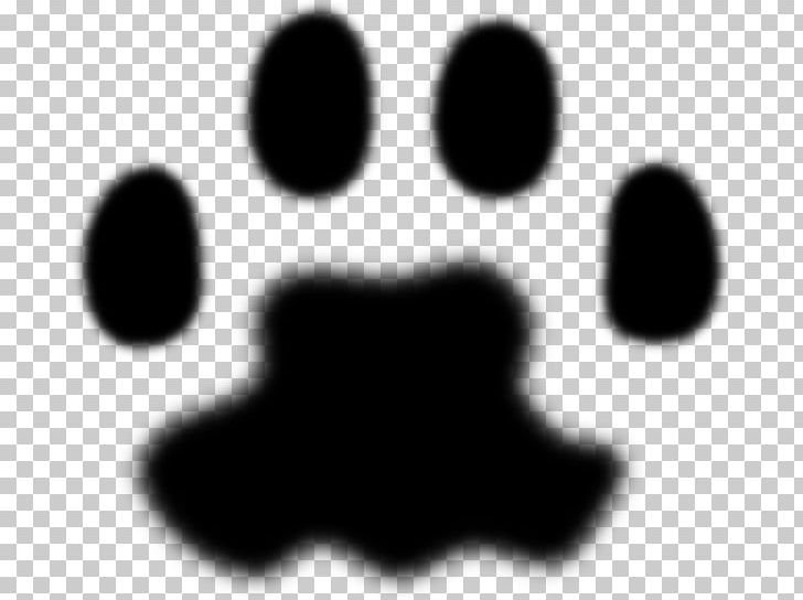 Dog Cat Paw Animal Track Lion PNG, Clipart, Animal, Animals, Animal Track, Black, Black And White Free PNG Download