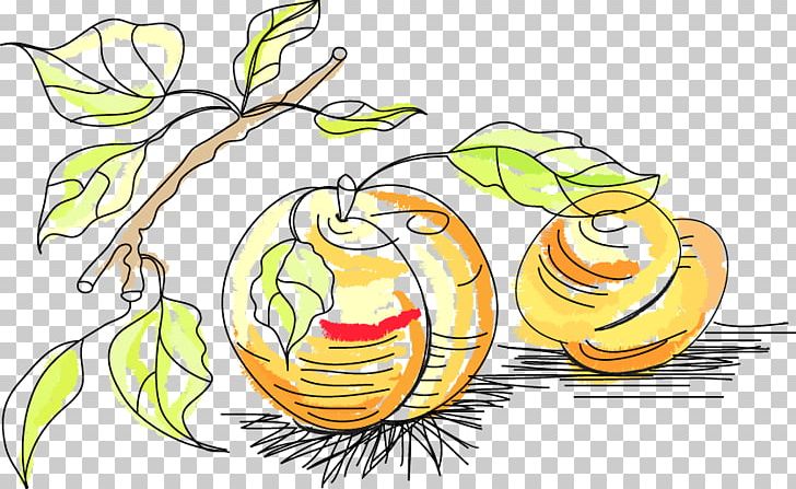 Fruit Drawing PNG, Clipart, Cartoon, Drawing Vector, Encapsulated Postscript, Flower, Food Free PNG Download