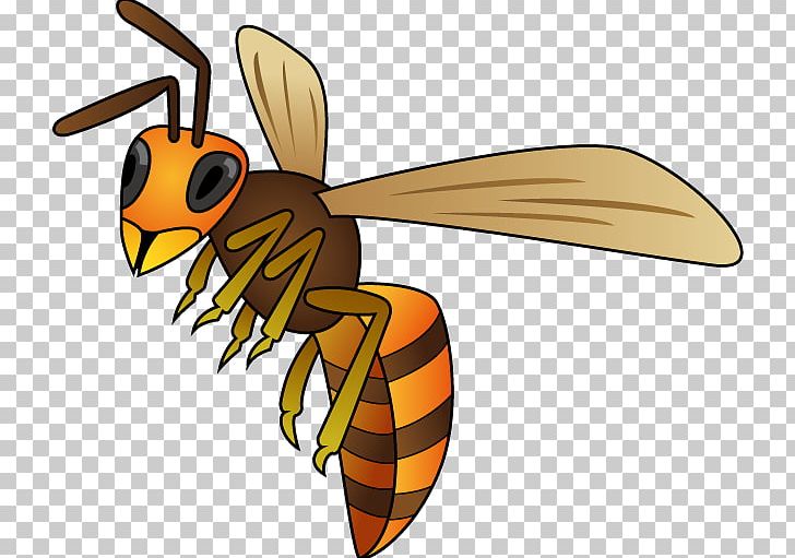 Honey Bee True Wasps Insect PNG, Clipart, Animals, Arthropod, Asian Giant Hornet, Bee, Fly Free PNG Download