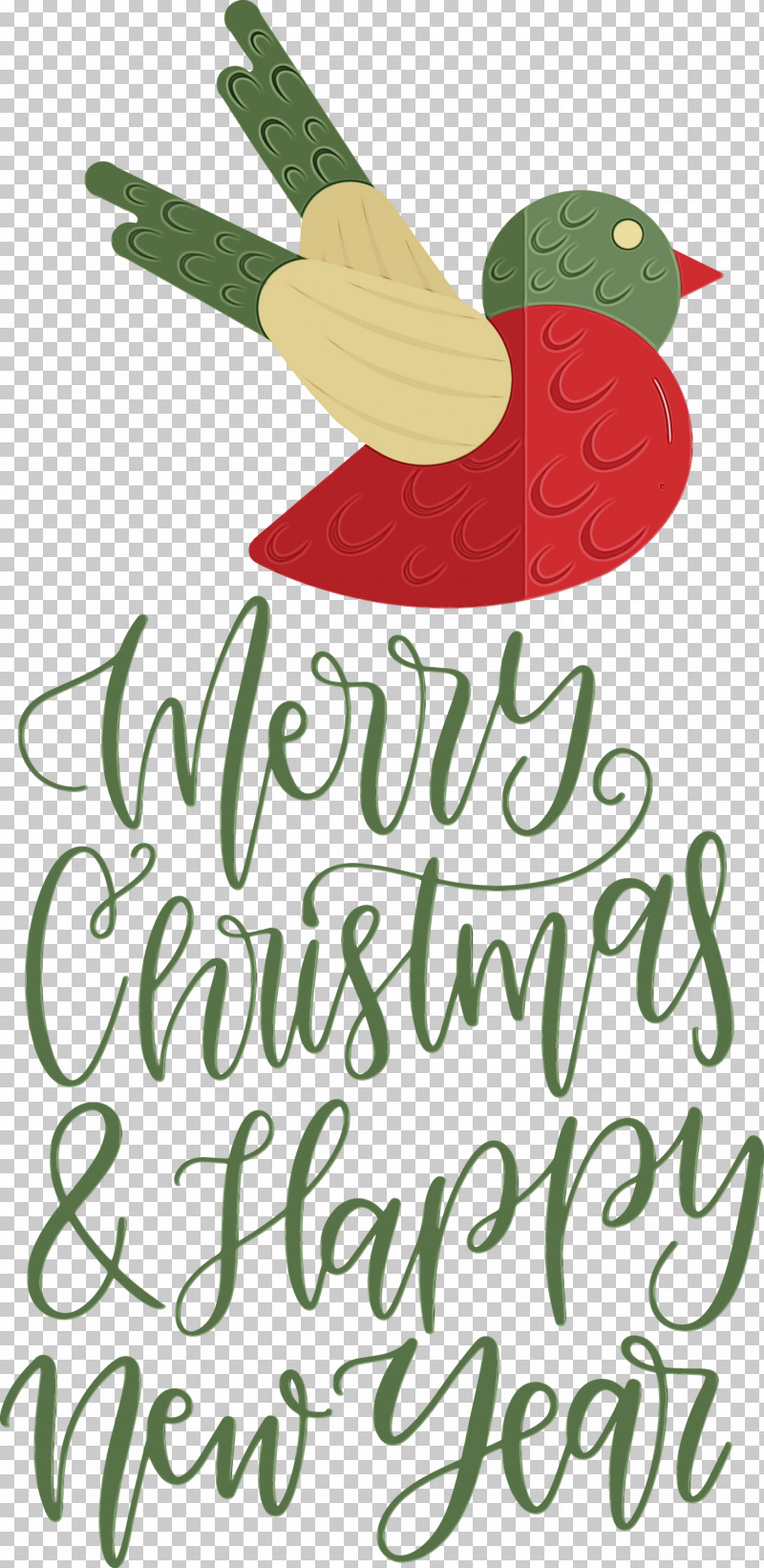 Christmas Day PNG, Clipart, Beak, Biology, Birds, Christmas Day, Flower Free PNG Download