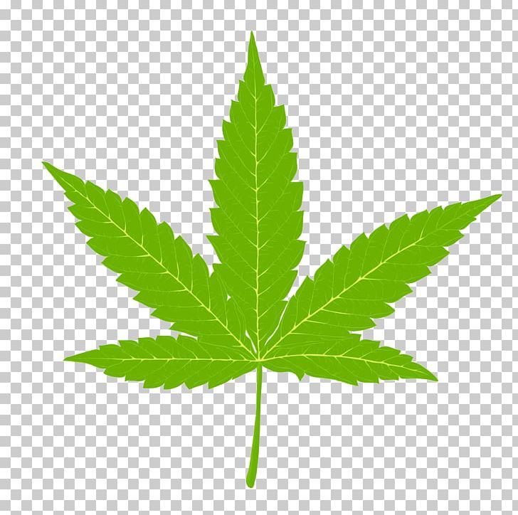 Cannabis Hemp Marijuana PNG, Clipart, Agriculture, Amsterdam, Autumn Leaves, Cannabis Sativa, Cannabis Smoking Free PNG Download