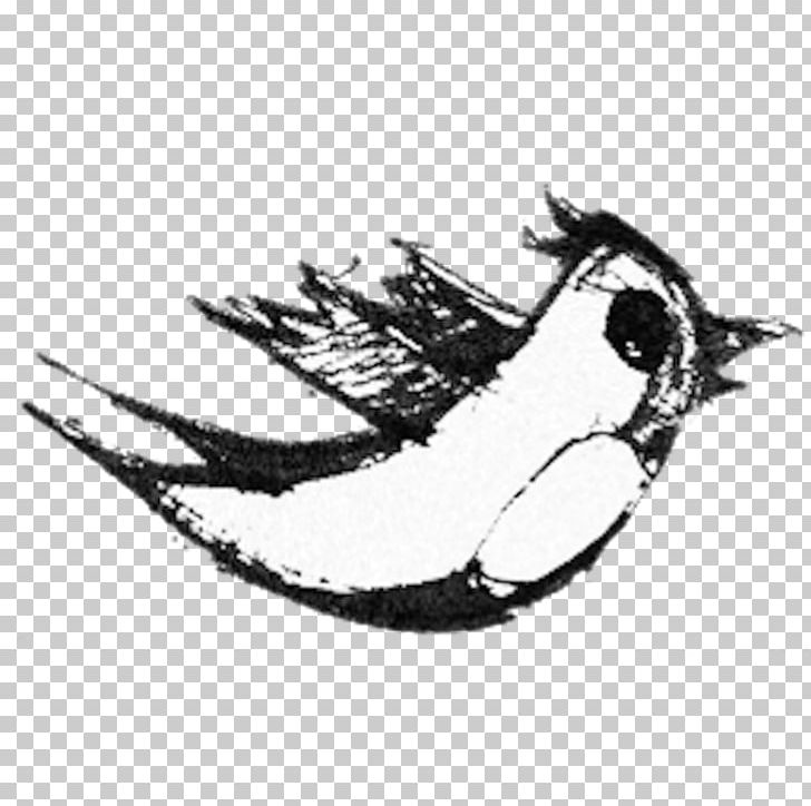 Computer Icons Social Media Drawing PNG, Clipart, Bird, Black And White, Blog, Computer Icons, Download Free PNG Download