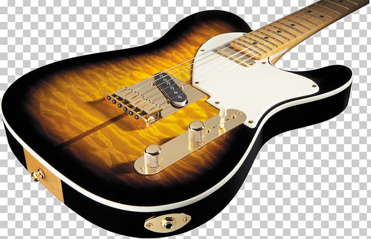 Fender Telecaster Custom Fender Telecaster Thinline Electric Guitar PNG, Clipart, Acoustic Electric Guitar, Bridge, Guitar, Guitar Accessory, Jazz Guitarist Free PNG Download