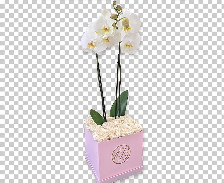 Floral Design Moth Orchids Rose Cut Flowers PNG, Clipart, Artificial Flower, Box, Color, Cut Flowers, Floral Design Free PNG Download
