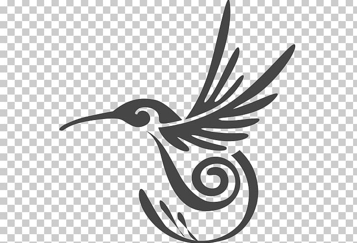 Hummingbird Stencil PNG, Clipart, Animals, Art, Beak, Bird, Black And White Free PNG Download