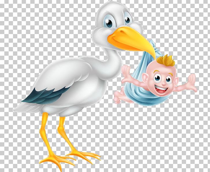 Infant Childbirth PNG, Clipart, Animals, Beak, Bird, Birth, Cartoon Free PNG Download