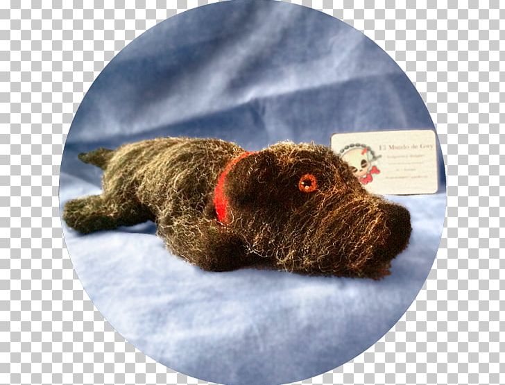 Spanish Water Dog Schnoodle Portuguese Water Dog Sporting Group Dog Breed PNG, Clipart, Amigurumi, Breed, Carnivoran, Dog, Dog Breed Free PNG Download