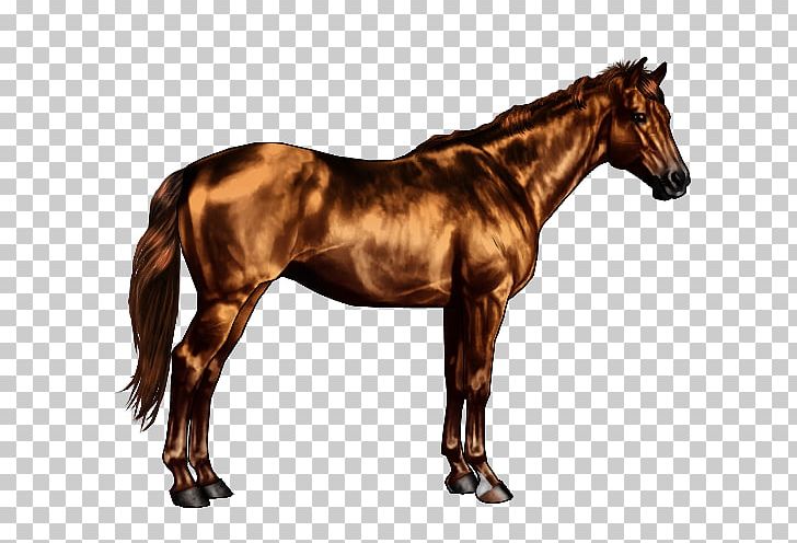 American Quarter Horse American Paint Horse Horse Markings Dun Locus Black PNG, Clipart, Animalia, Appaloosa, Bay, Bit, Black Free PNG Download