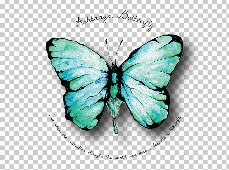 Brush-footed Butterflies Ashtanga Vinyasa Yoga Butterfly Gossamer-winged Butterflies PNG, Clipart, Ashtanga Vinyasa Yoga, Brush Footed Butterfly, Butterflies And Moths, Butterfly, Insect Free PNG Download