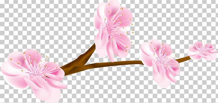 Cherry Blossom Petal Flower PNG, Clipart, Blossoms, Cherry, Cherry Blossom, Cherry Blossom , Cherry Blossoms Free PNG Download