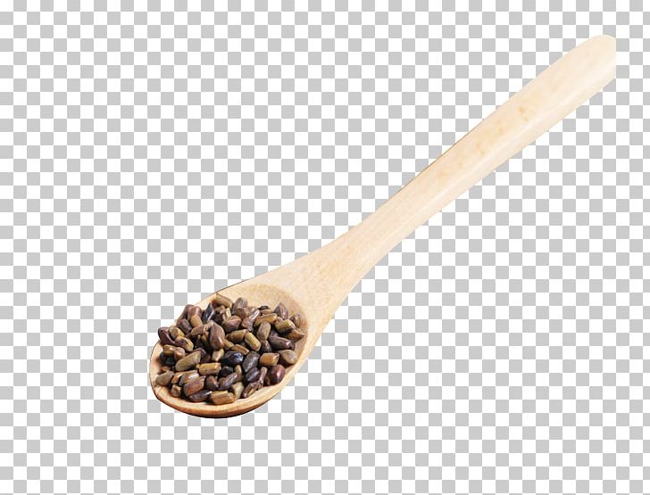 Wooden Spoon PNG, Clipart, Cartoon Spoon, Cassia, Cutlery, Fork And Spoon, Fork Spoon Free PNG Download