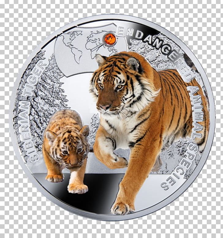 Siberian Tiger Endangered Species Coin Amur Leopard Animal PNG, Clipart, Animal, Big Cats, Carnivoran, Cat Like Mammal, Endangered Species Free PNG Download