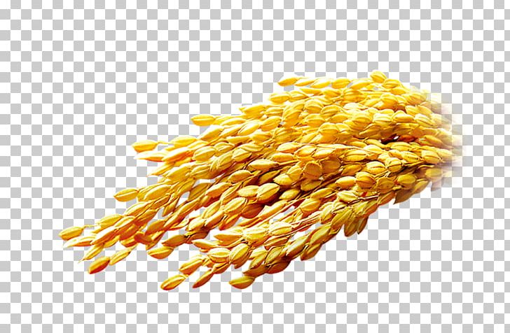 Rice Computer File PNG, Clipart, Caryopsis, Cereal Germ, Commodity, Corn Kernels, Cuisine Free PNG Download