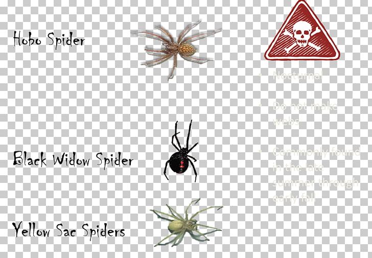 Black House Spider The Tarantula Scorpion Venom PNG, Clipart, Animal, Arachnid, Arthropod, Black House Spider, Flickr Free PNG Download