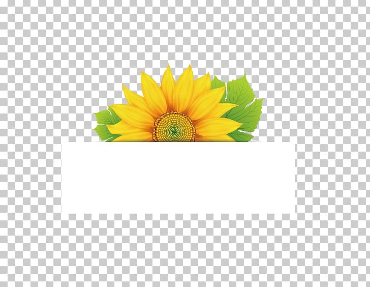 Flower Euclidean PNG, Clipart, Daisy Family, Download, Encapsulated Postscript, Floral Design, Flowering Free PNG Download