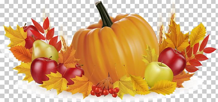 Thanksgiving Fruit Pumpkin Illustration PNG, Clipart, Apple, Apple Fruit, Autumn, Bell Peppers And Chili Peppers, Chili Pepper Free PNG Download