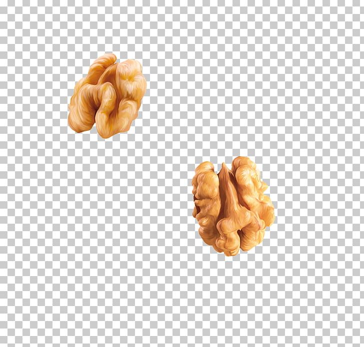 Walnut Nucule Fruit PNG, Clipart, Auglis, Dessert, Download, Encapsulated Postscript, English Walnut Free PNG Download