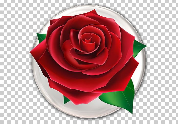 Flower Mania Rose Android PNG, Clipart, Android, Animation, Apk, App Store, Cut Flowers Free PNG Download