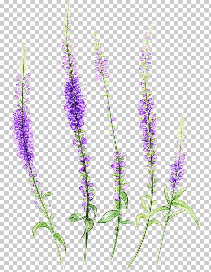 Lavender PNG, Clipart, Art, Creative Work, Design, Designer, Download Free PNG Download