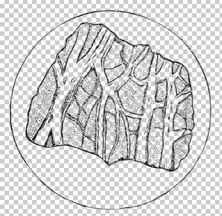 Metamorphic Rock Geology Journal Of The Geological Society Drawing PNG, Clipart, Angle, Circle, Dolomite, Drawing, Geological Formation Free PNG Download