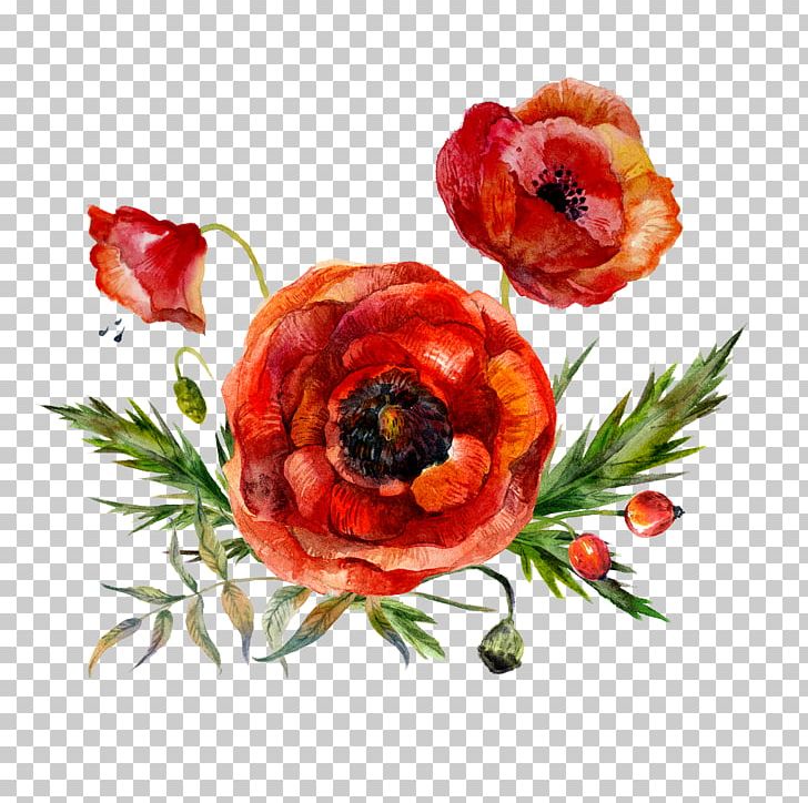 poppy flowers watercolor painting