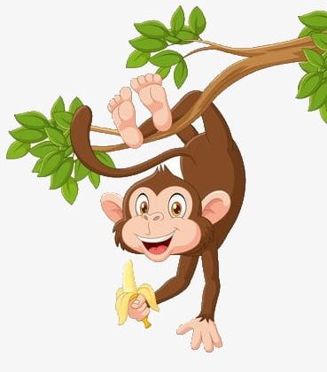 Monkey Hanging In A Tree PNG, Clipart, Banana, Barefoot, Green, Hanging Clipart, Monkey Clipart Free PNG Download