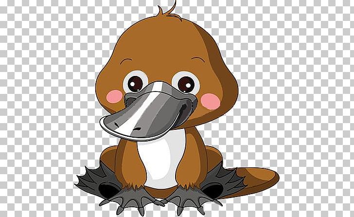Perry The Platypus PNG, Clipart, Beak, Bird, Carnivoran, Cartoon, Dog Free PNG Download