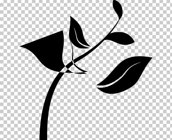 Seedling Plant Stem PNG, Clipart, Art, Artwork, Black, Black And White, Branch Free PNG Download