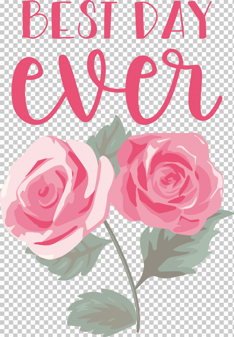 Best Day Ever Wedding PNG, Clipart, Best Day Ever, Cabbage Rose, Cut Flowers, Floral Design, Floribunda Free PNG Download