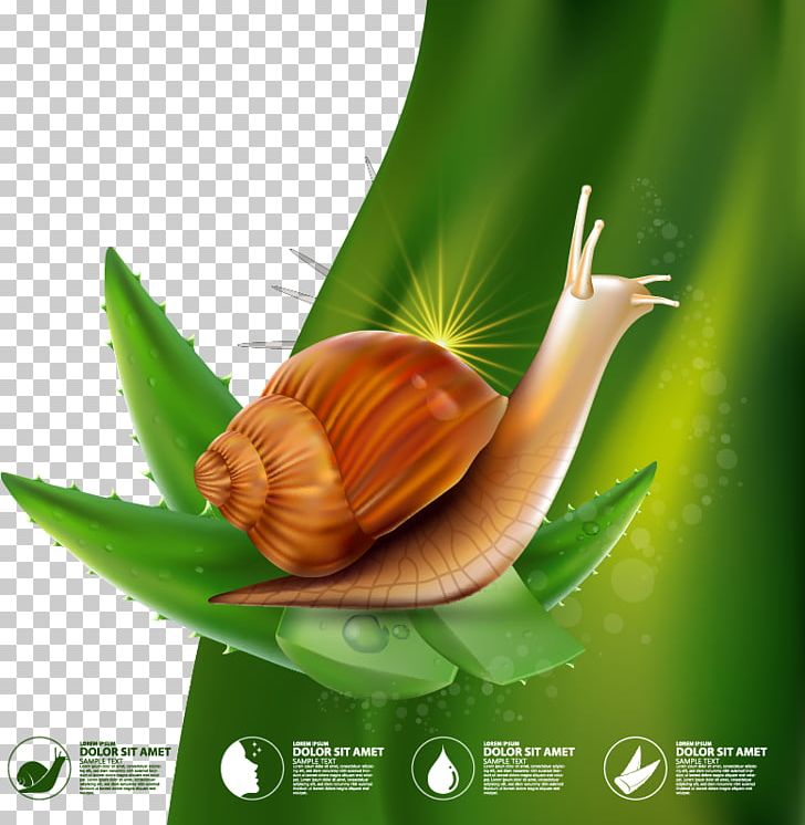 Snail Illustration PNG, Clipart, Aloe Vector, Aloe Vera, Background Vector, Cdr, Computer Wallpaper Free PNG Download