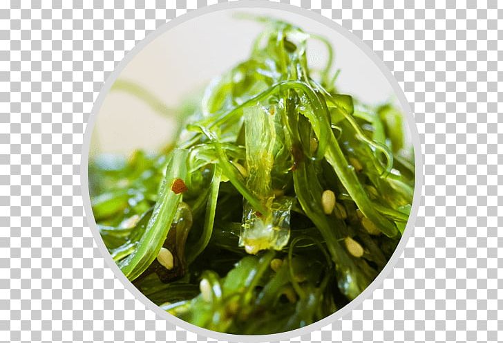 Ramen Miso Soup Edible Seaweed Wakame PNG, Clipart, Algae, Arame, Dish, Eating, Edible Seaweed Free PNG Download