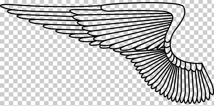 Computer Icons PNG, Clipart, Angel Wings, Angle, Art, Beak, Black And White Free PNG Download