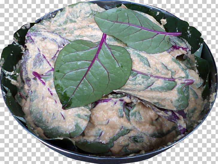 Leaf Vegetable Plant Pathology PNG, Clipart, Asafoetida, Food, Leaf, Leaf Vegetable, Pathology Free PNG Download