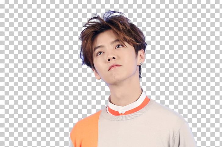 Lu Han Ulzzang EXO Rendering Asianfanfics PNG, Clipart, Arm, Asianfanfics, Brown Hair, Chen, Chin Free PNG Download