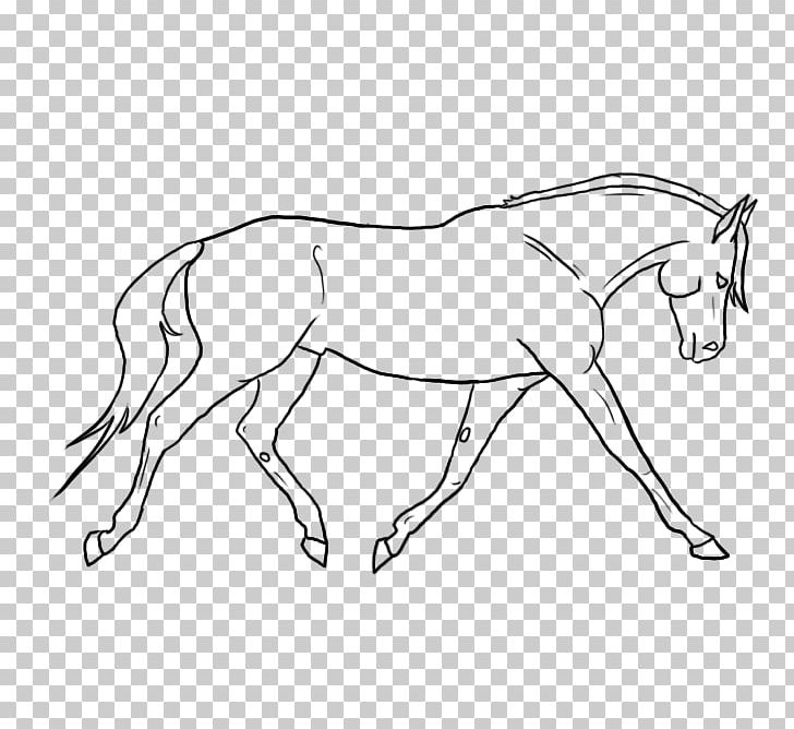 Mule Foal Bridle Stallion Colt PNG, Clipart, Arm, Artwork, Black And White, Bridle, Colt Free PNG Download