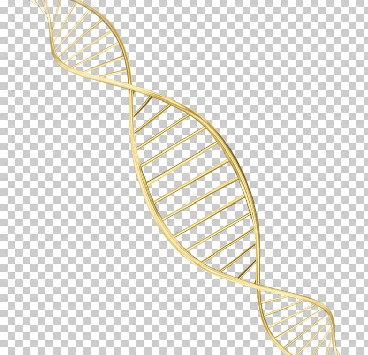 DNA Face Gene Color PNG, Clipart, Cartoon, Chromatophore, Cutlery, Decoration, Gold Background Free PNG Download