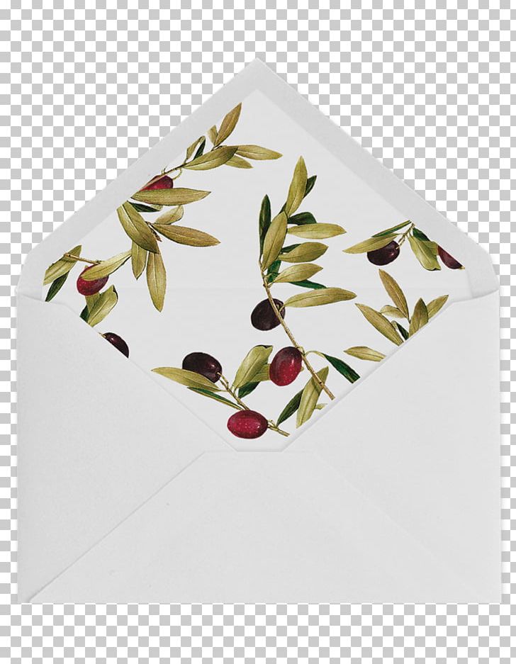 Paper Density Convite Olive Envelope PNG, Clipart, Convite, Cotton, Envelope, Food Drinks, Fruit Free PNG Download