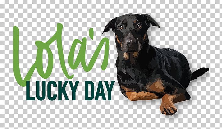 Rottweiler Puppy Animal Rescue Group Jack Russell Terrier Shih Tzu PNG, Clipart, Animal, Animal Rescue Group, Animals, Animal Shelter, Animal Welfare Free PNG Download