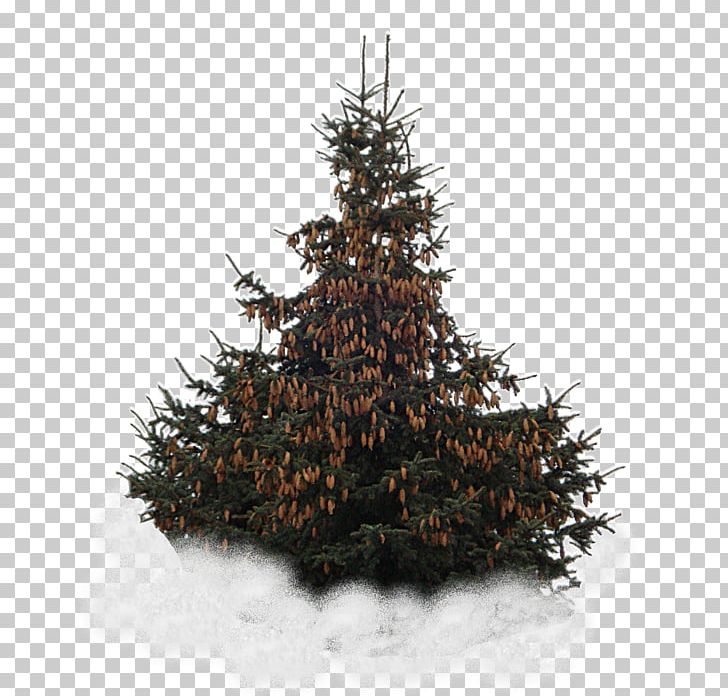 Spruce Christmas Tree Christmas Ornament Snowflake PNG, Clipart, Blog, Christmas, Christmas Decoration, Christmas Ornament, Christmas Tree Free PNG Download