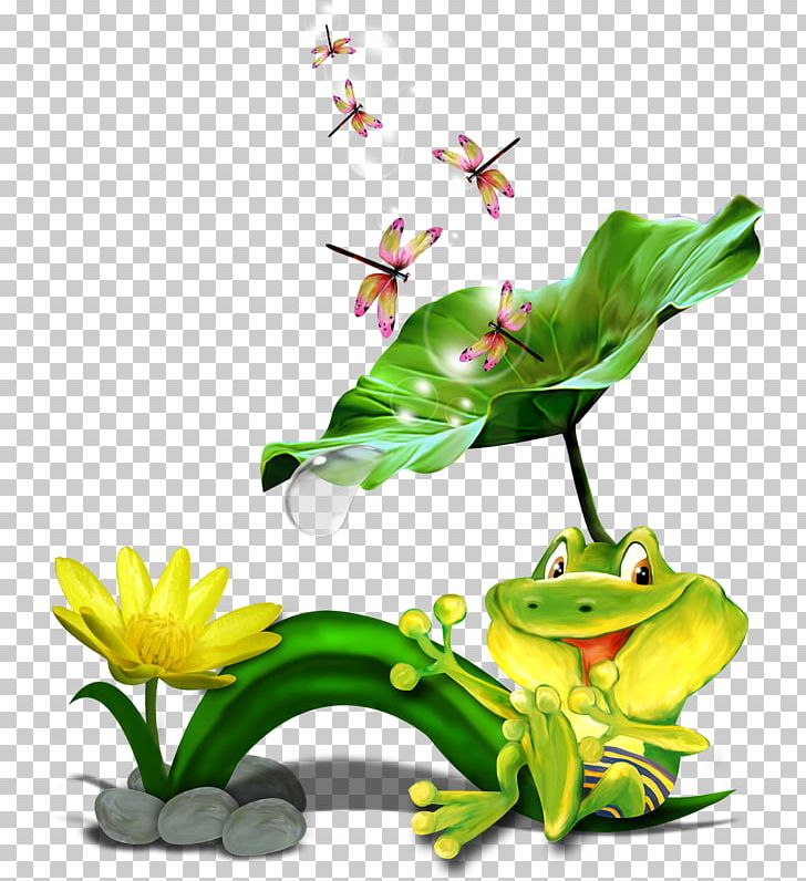 Tree Frog True Frog PNG, Clipart, Amphibian, Animaatio, Fauna, Flora, Flower Free PNG Download