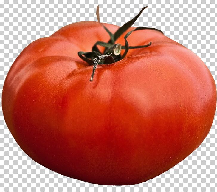 Beefsteak Tomato Seed Vegetable Heirloom Plant Heirloom Tomato PNG, Clipart, Banana, Beefsteak Tomato, Bush Tomato, Cherry Tomato, Cucumber Free PNG Download